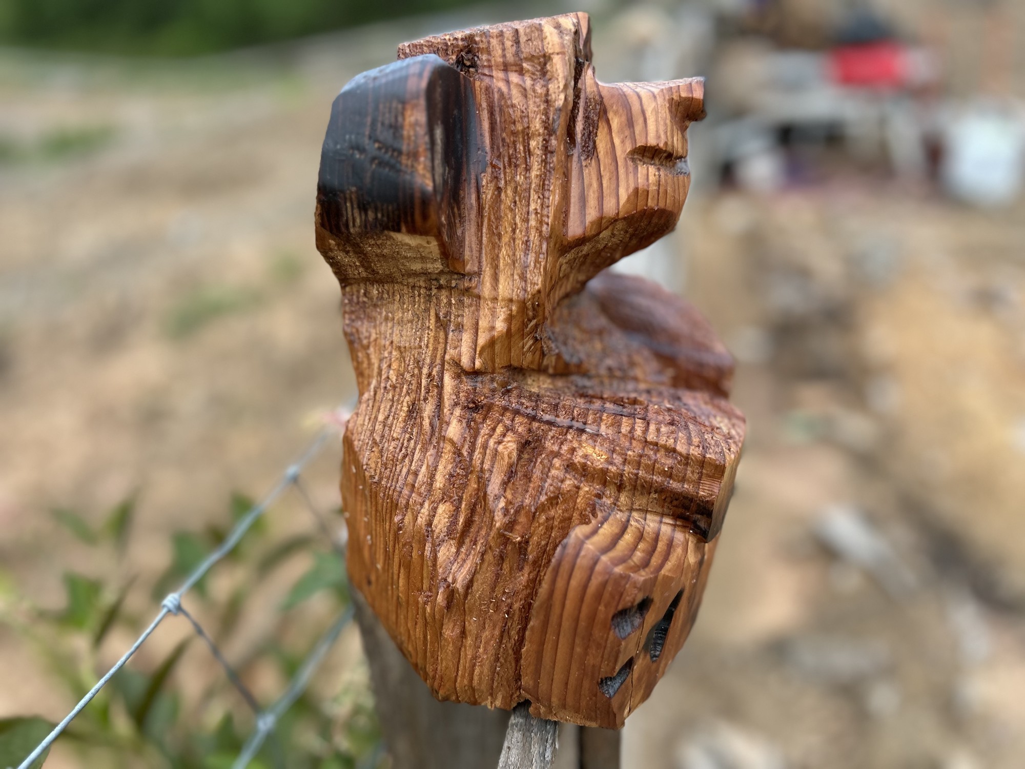 Cedar Bear by Michael Duke, photo 4 from Carvers Log