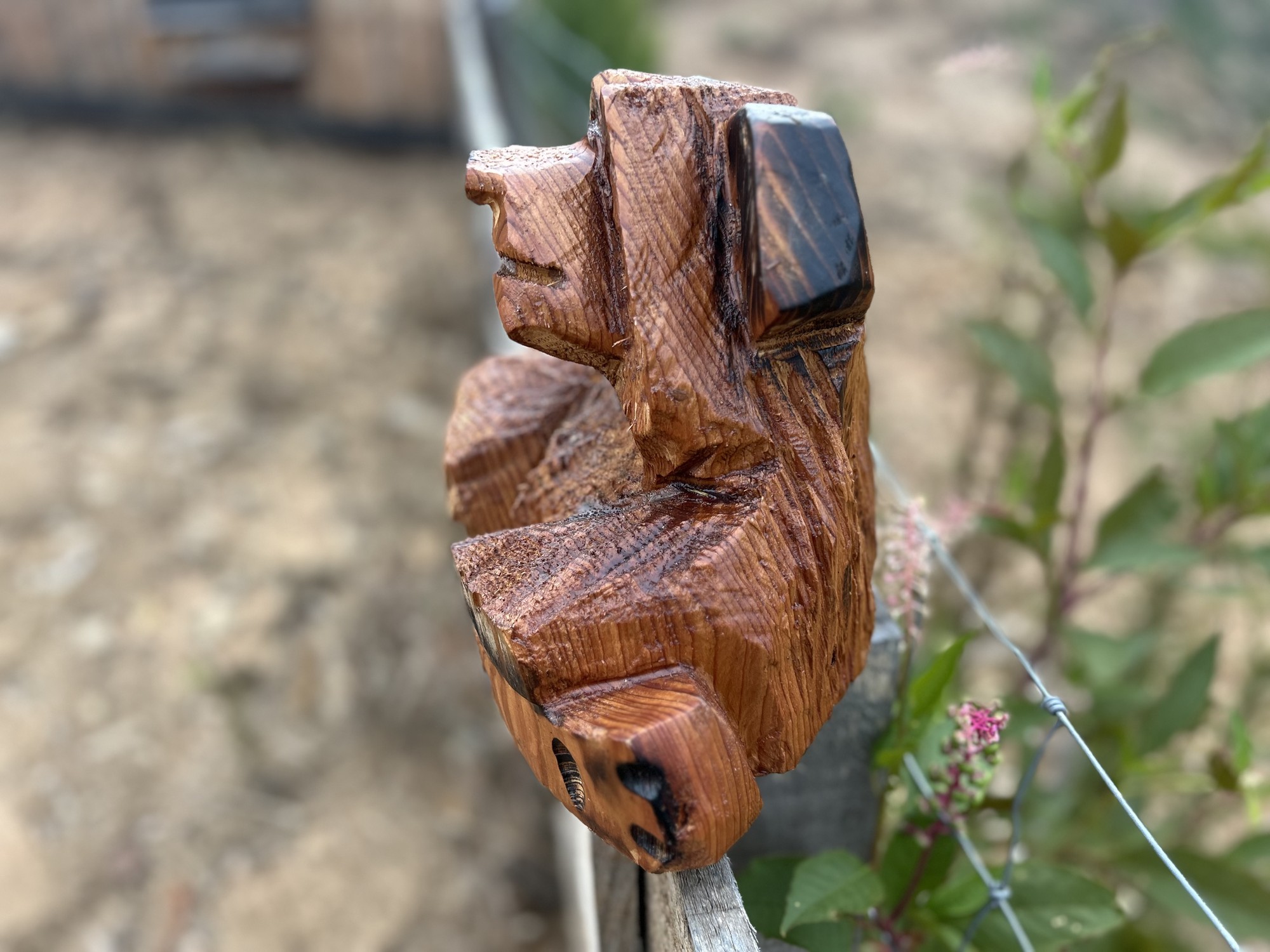 Cedar Bear by Michael Duke, photo 5 from Carvers Log