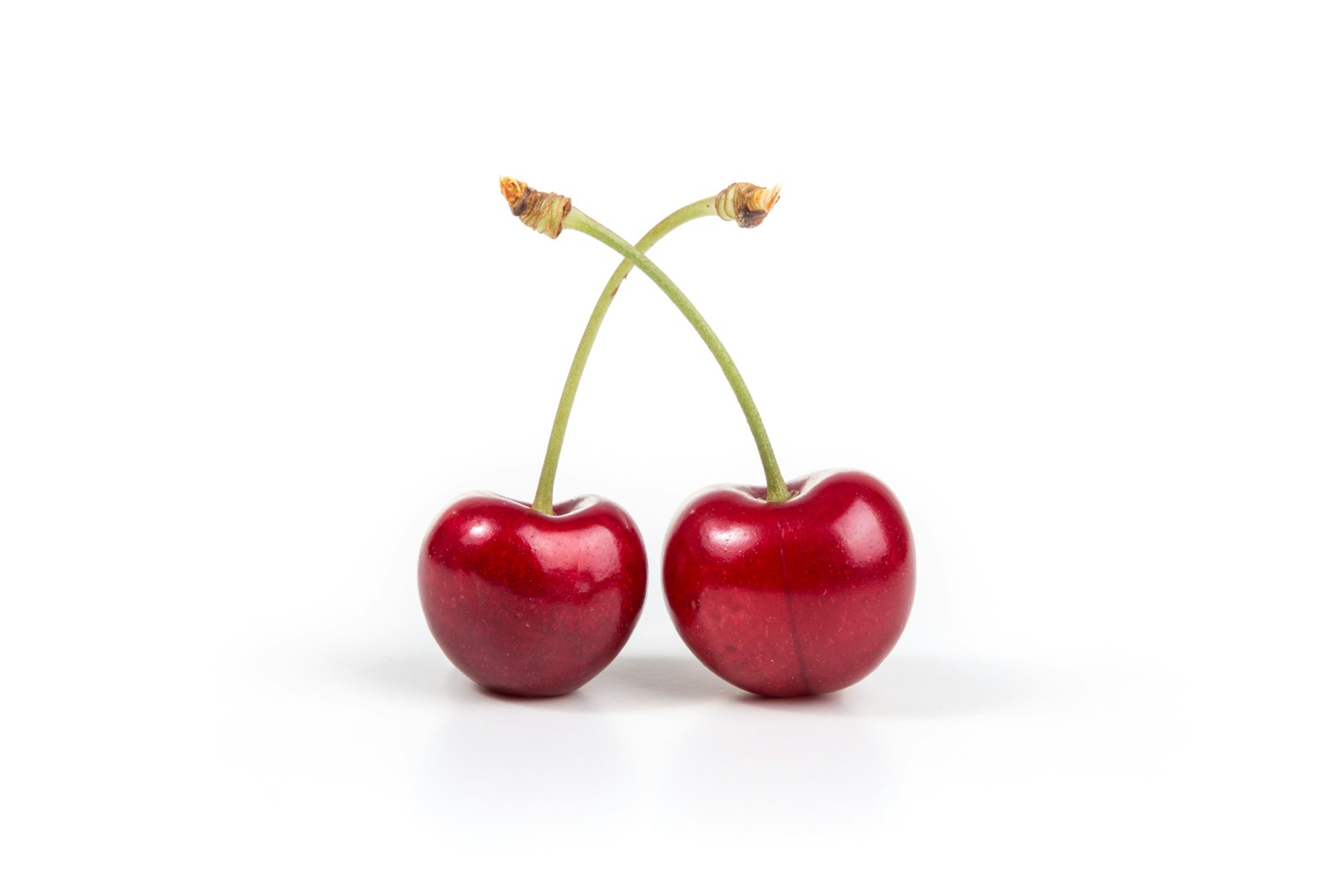 Black Tartarian cherry tree